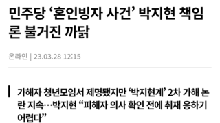 [청년정치인] 민주당 ‘혼인빙자 사건’ 박지현 책임론 불거진 까닭