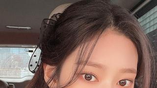 약혐) 현대 기계식 돼지 도축.gif