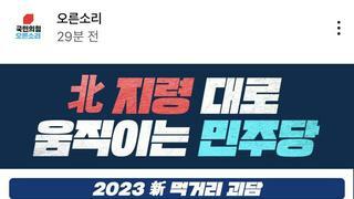 이게 국힘 공식 커뮤니티 수준