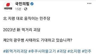 국힘 페이스북 