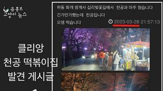 천공 떡볶이집 발견 게시글 다음날 조선일보 기사