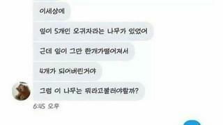 신개념 고백문장