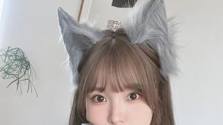 일본의 마이멜로디론(論)