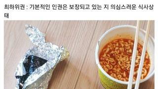 회사 밥 티어 리스트