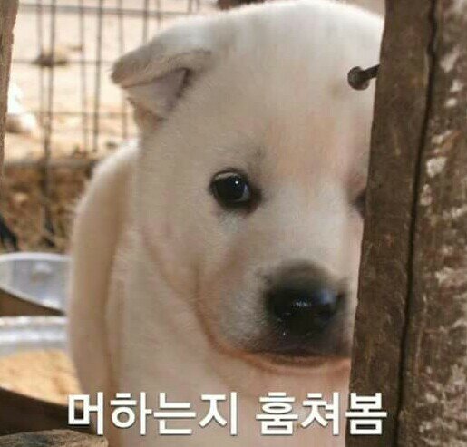 배럴스트렝스 이미지