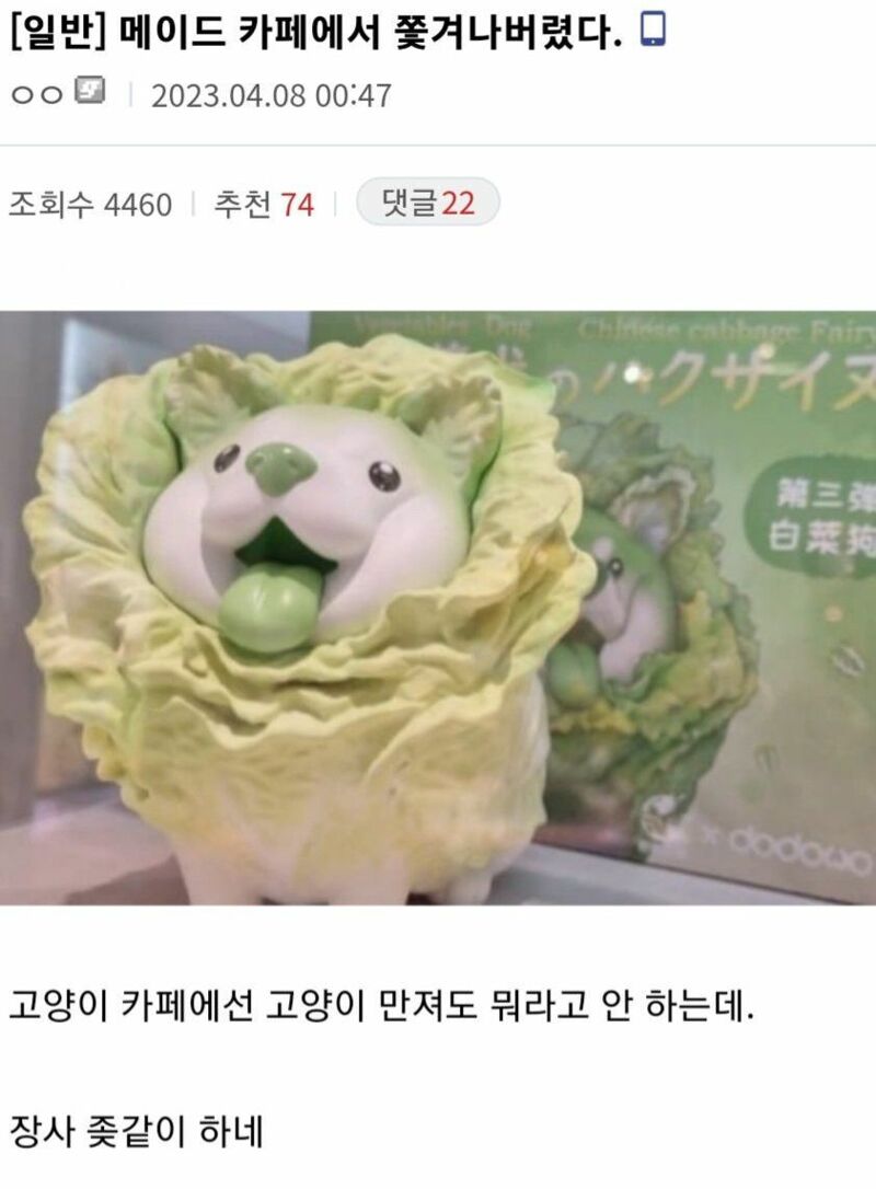 카페1251 이미지