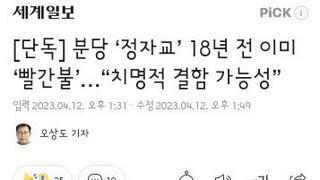 분당 정자교 이미 18년전부터 치명적 결함 가능성