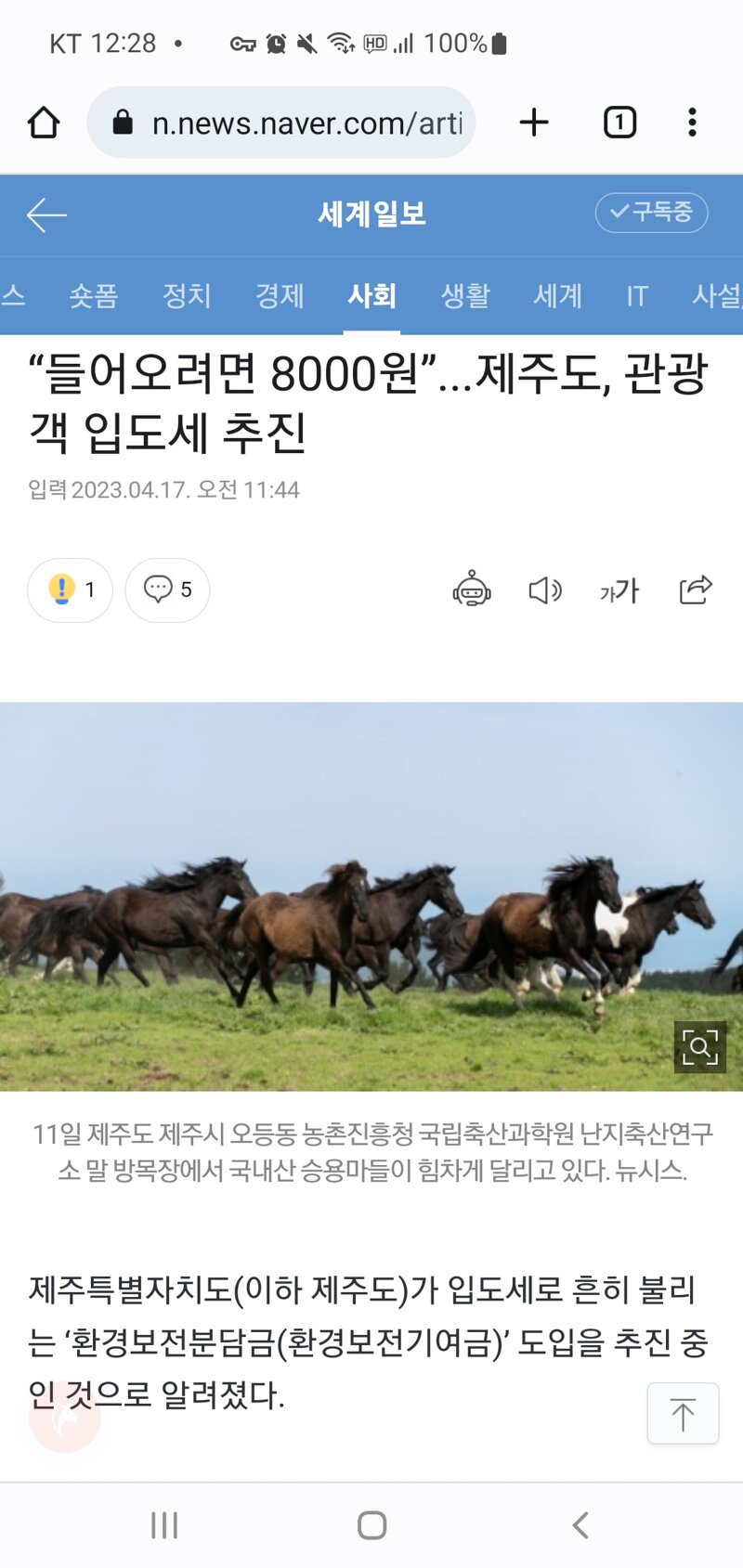갤러리인당 이미지