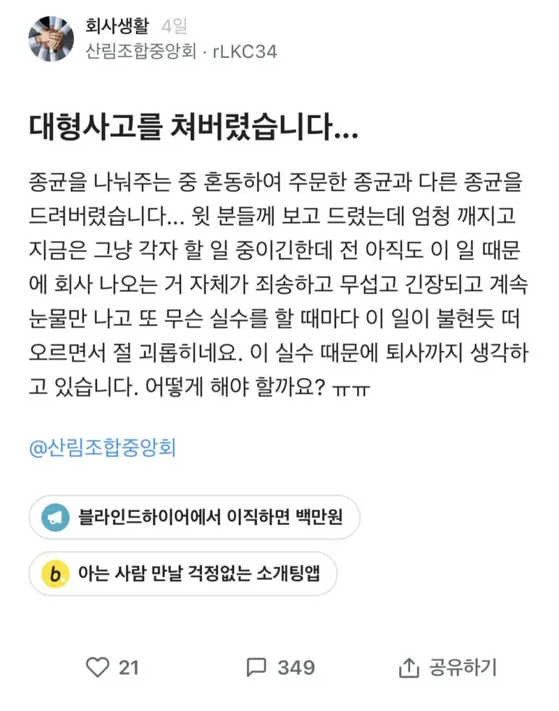매일복사 이미지