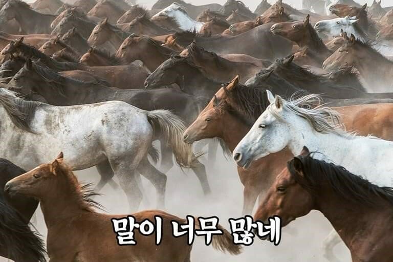 거참 이미지