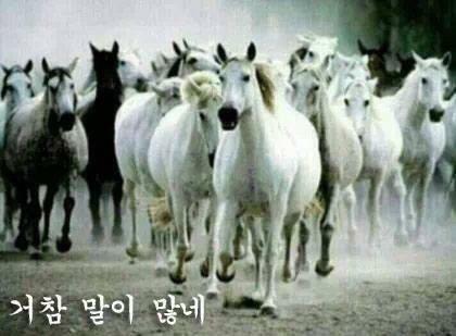 거참 이미지