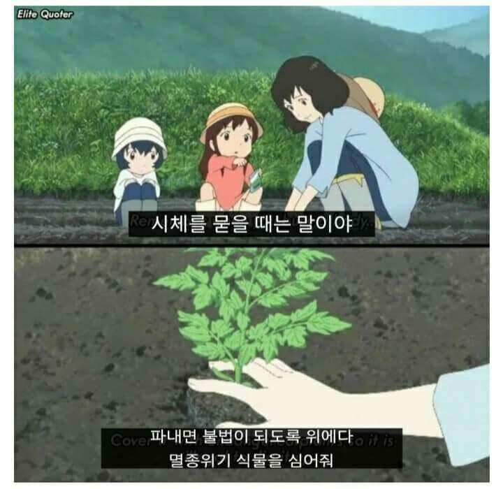 베인리치 이미지
