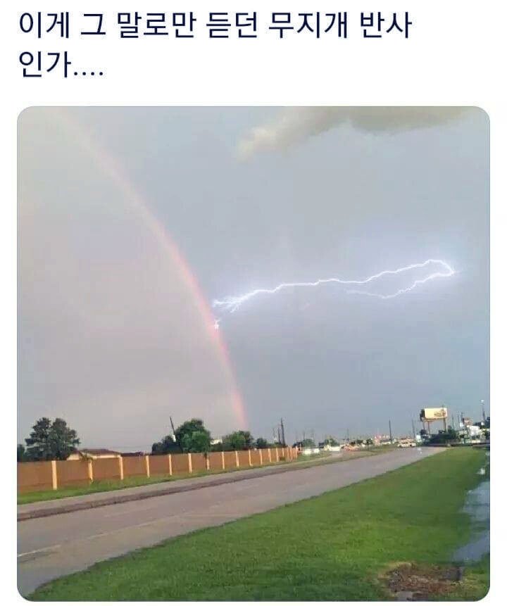 무지개복사 이미지