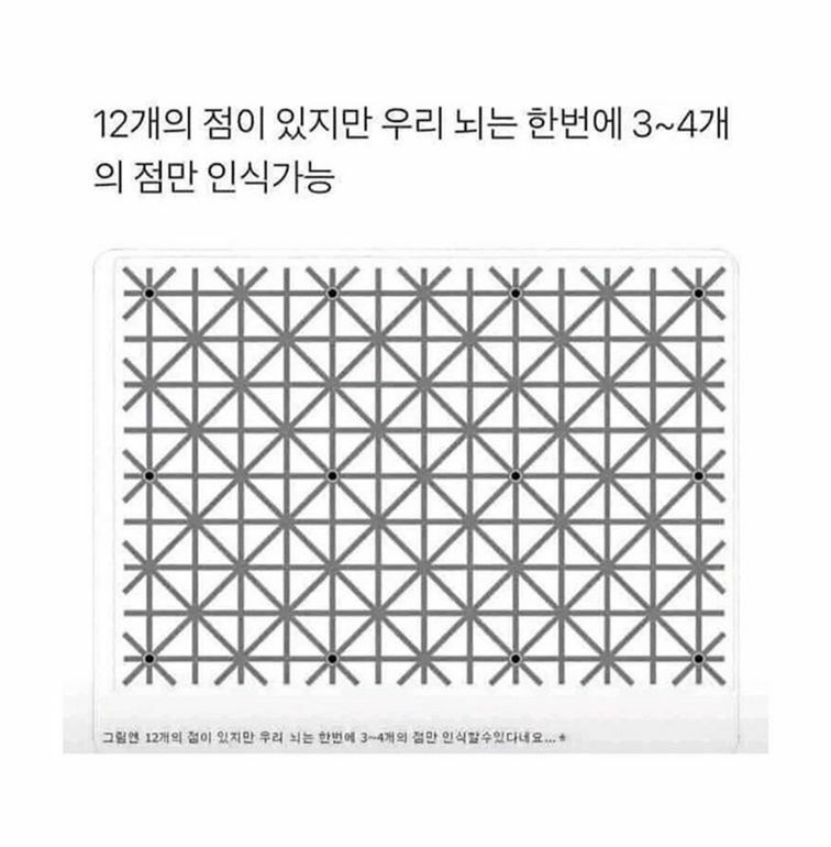 리퍼시너지 치적으로 바꾸면op되는거 한순간임 | 로아 인벤 리퍼시너지 치적으로 바꾸면Op되는거 한순간임 | 로아 인벤