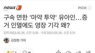 구속 면한 '마약 투약' 유아인…증거 인멸에도 영장 기각 왜?