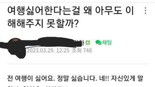 여행 싫어한다는걸 왜 아무도 이해해주지 못할까요?