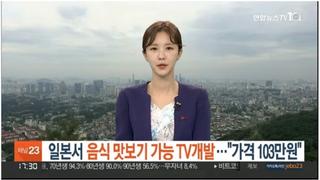 일본에서 개발된 tv