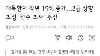 국내 매독환자 19%증가