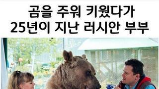 곰 주워서 25년간 키운 러시아 부부.