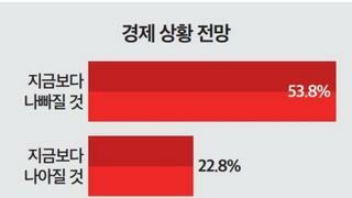 뉴스토마토 여론조사) 윤 대통령 긍정 35.3% 부정 61.2% 민주 45.2% 국힘 35.1%