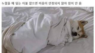 잠잘 때 이런 버릇 가지고 있는 사람 꼭 있음.jpg