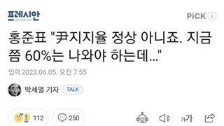 홍준표 
