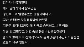 기초수급자갤러리 어느유저