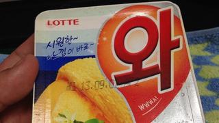 일본의 놀이터 문화 (+ 유튜브)