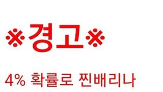 ㅎㅂ 4% 확률로 찐배리나