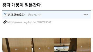 혼자 일본간다는 개드립 유저