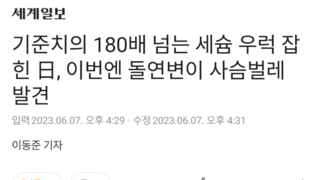 기준치의 180배 넘는 세슘 우럭 잡힌 日, 이번엔 돌연변이 사슴벌레 발견