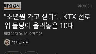 “소년원 가고 싶다”… KTX 선로 위 돌덩이 올려놓은 10대