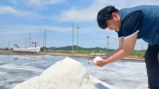 한국 소금값 근황