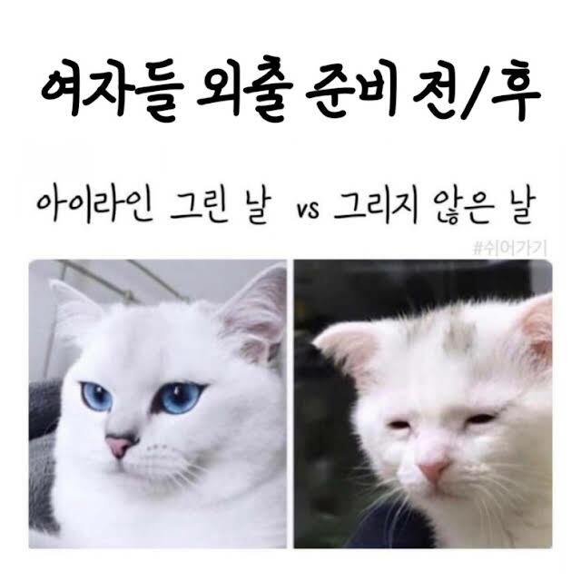 외출준비 이미지