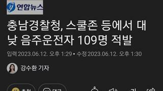 충남경찰청, 스쿨존 등에서 대낮 음주운전자 109명 적발