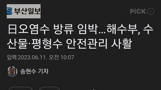 日오염수 방류 임박…해수부, 수산물·평형수 안전관리 사활