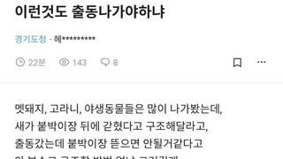 오늘자 소방관이 119 신고받고 출동한 사유