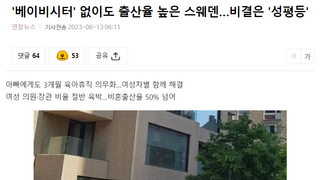 베이비시터 없이도 출산율 높은 스웨덴, 비결은 '성평등'