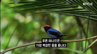 프로포즈 하는데 백댄서들이 리허설 해주는 새