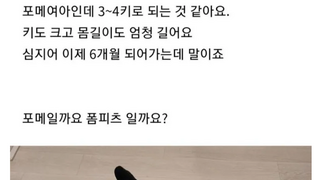 반려견 까페에 강아지 품종 질문이 금지된 이유