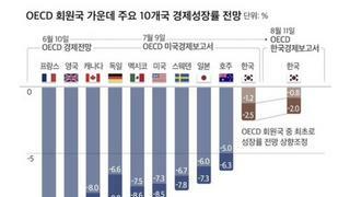 경제 천재 윤석열