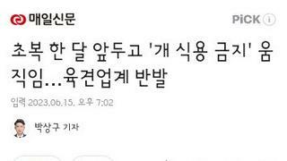 초복 한 달 앞두고 '개 식용 금지' 움직임…육견업계 반발