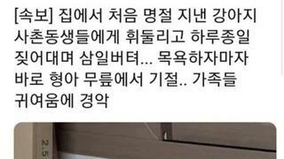 로스트아크 인벤 : 죄송합니다 조금 늦을거 같습니다. - 오픈이슈갤러리 로스트아크 인벤 : 죄송합니다 조금 늦을거 같습니다. - 오픈이슈갤러리