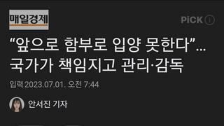 “앞으로 함부로 입양 못한다”…국가가 책임지고 관리·감독