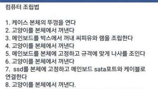 고양이 있는 사람의 컴퓨터 조립 방법