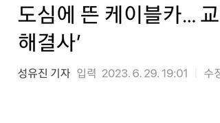 도심에 뜬 케이블카… 교통체증 ‘新해결사’