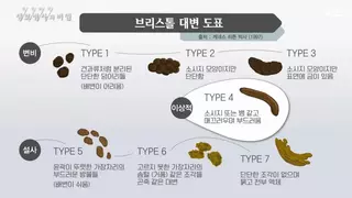 가장 이상적인 똥 모양