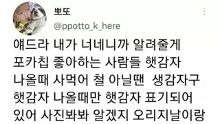 포카칩 좋아하는 오이갤러들 필독