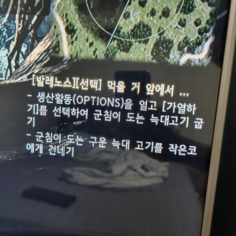 비플스 이미지