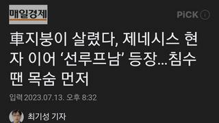 車지붕이 살렸다, 제네시스 현자 이어 ‘선루프남’ 등장…침수땐 목숨 먼저